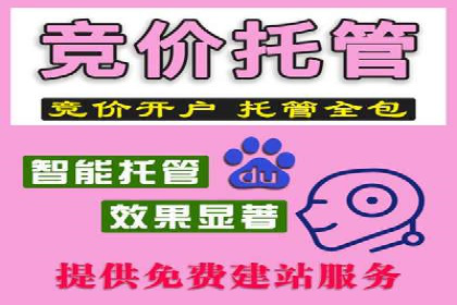搜索引擎营销（SEM）在B2B企业中的应用案例